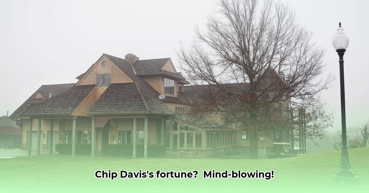 chip-davis-net-worth